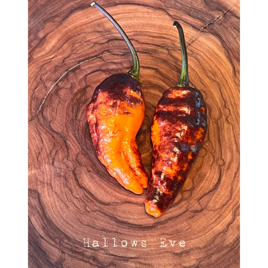 Hallows Eve - Hot Pepper Seeds
