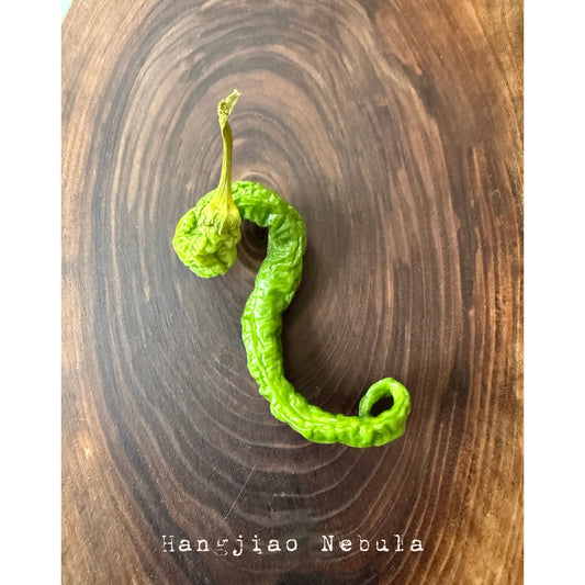 Hangjiao 5 Helix Nebula Hot Pepper Seeds