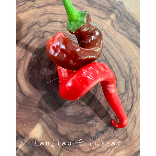 Hangjiao 6 Pulsar - Hot Pepper Seeds