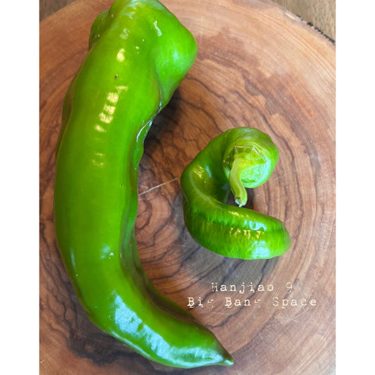 Hangjiao 9 Big Bang Space Chile - Hot Pepper Seeds