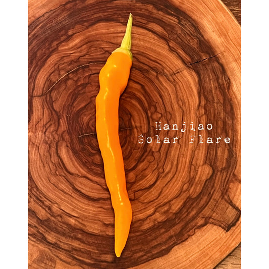 Hangjiao 3 Solar Flare - Hot Pepper Seeds