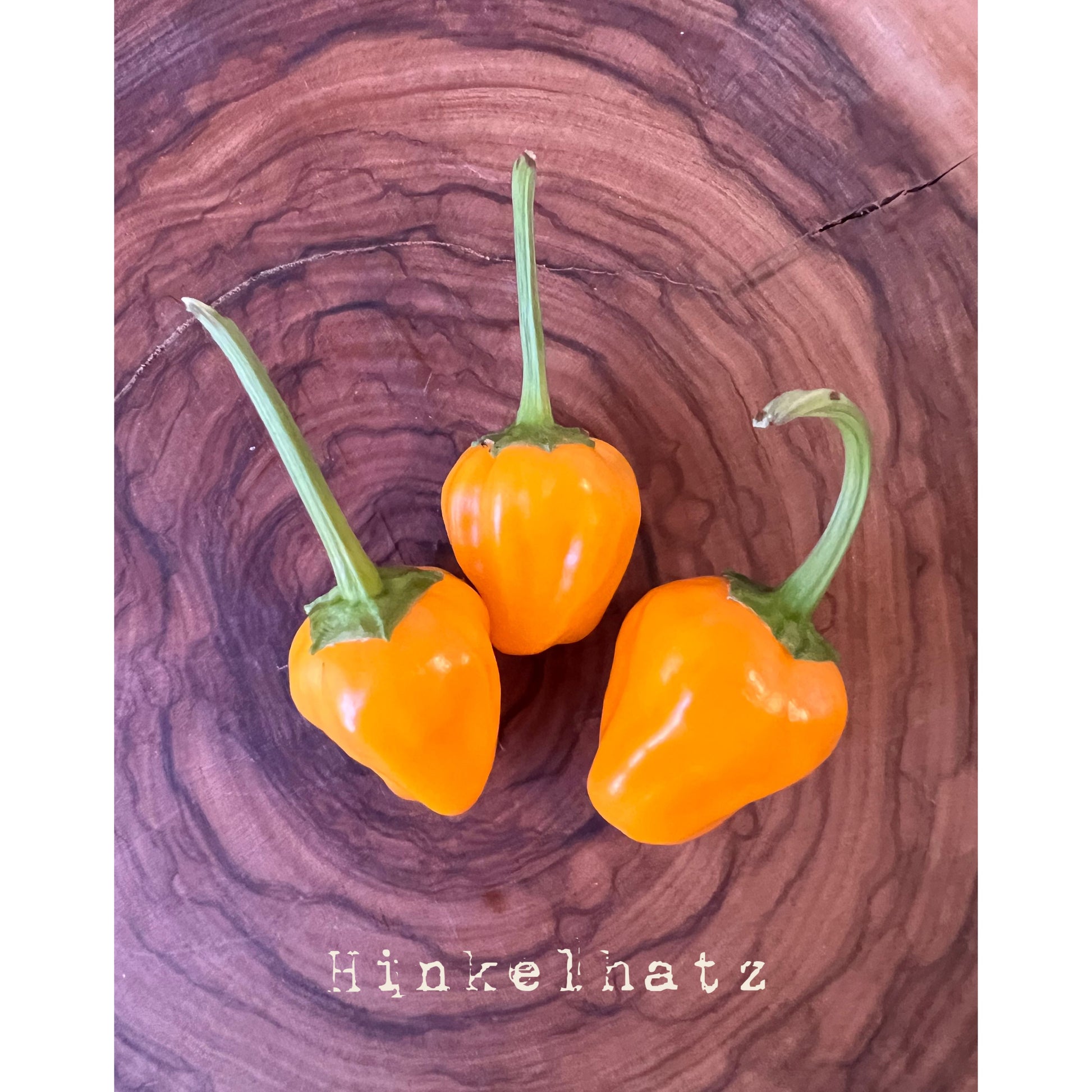 Hinkelhatz (Yellow) - Hot Pepper Seeds