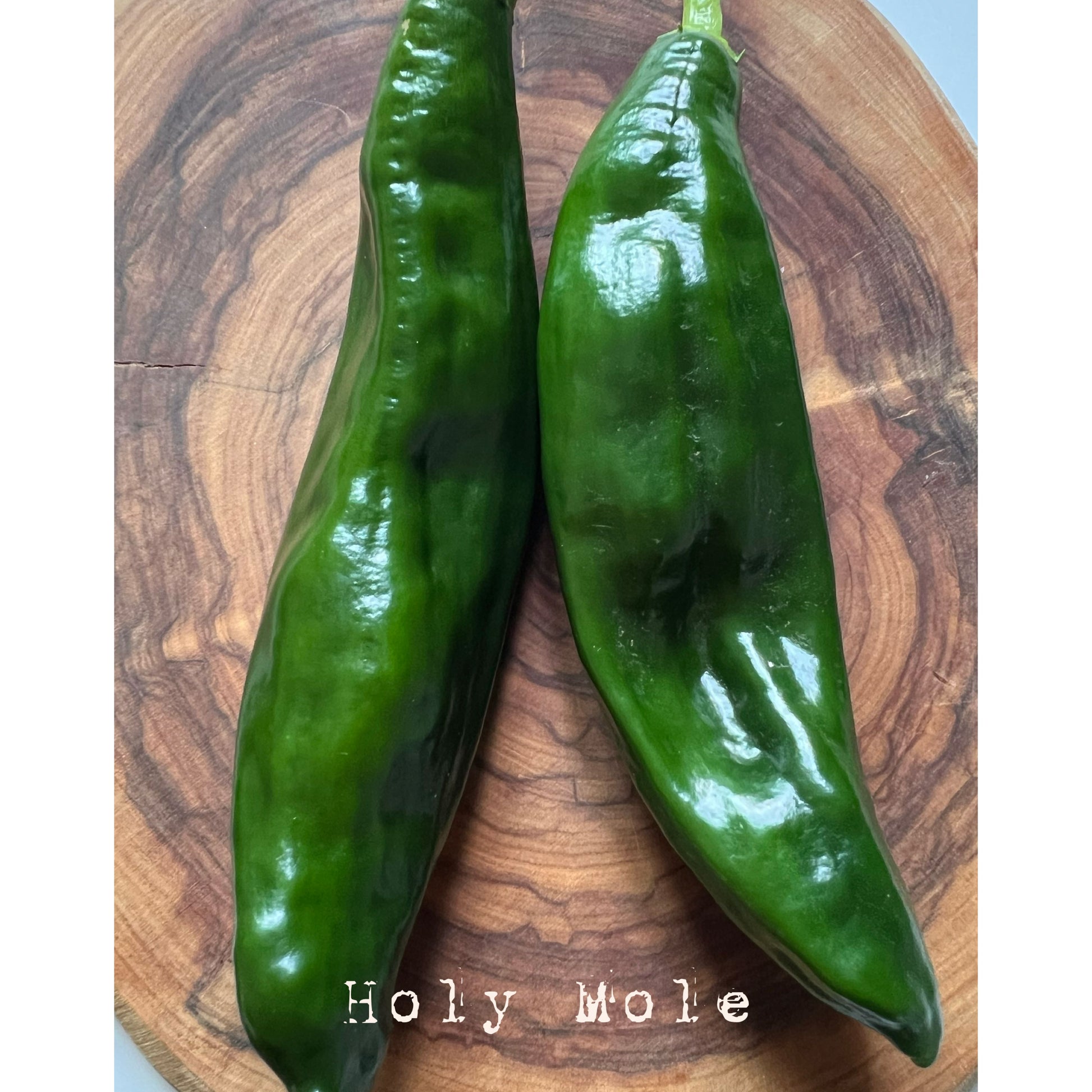 Holy Mole - Hot Pepper Seeds