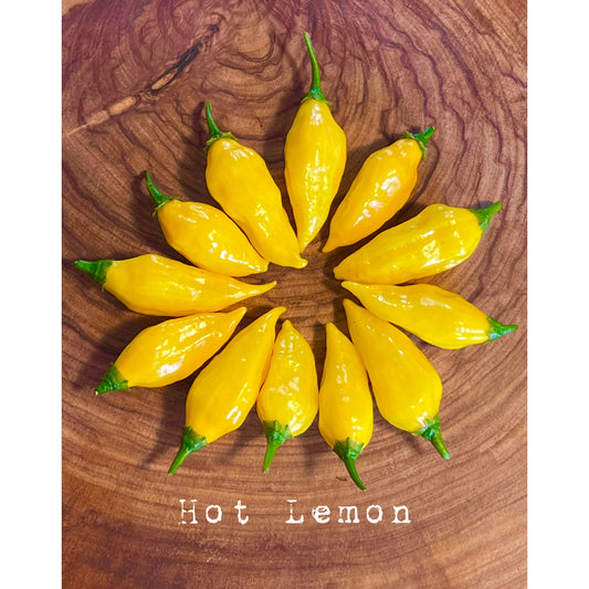 Hot Lemon - Hot Pepper Seeds
