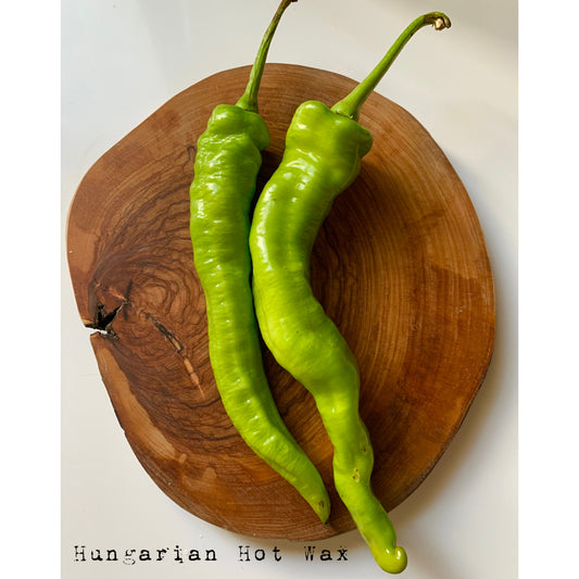 Hungarian Wax - Hot Pepper Seeds