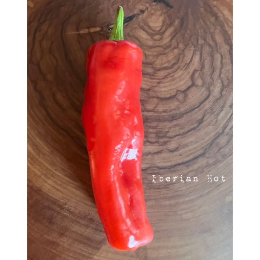 Iberian Hot - Hot Pepper Seeds