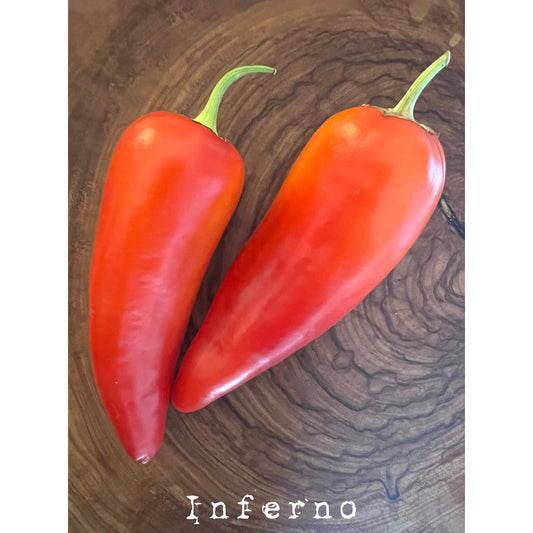 Inferno - Hot Pepper Seeds