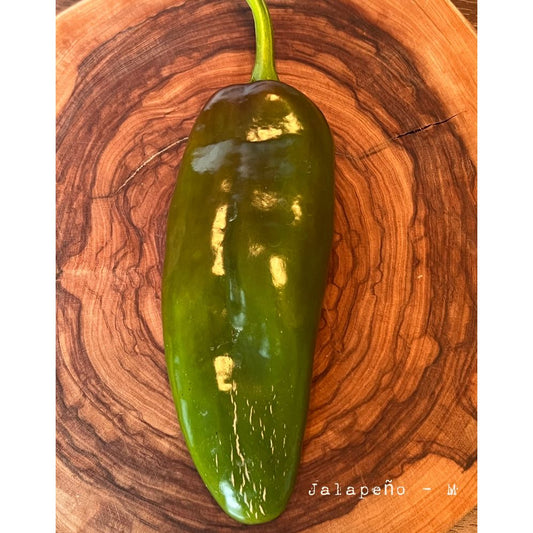 Jalapƒìno - M - Hot Pepper Seeds