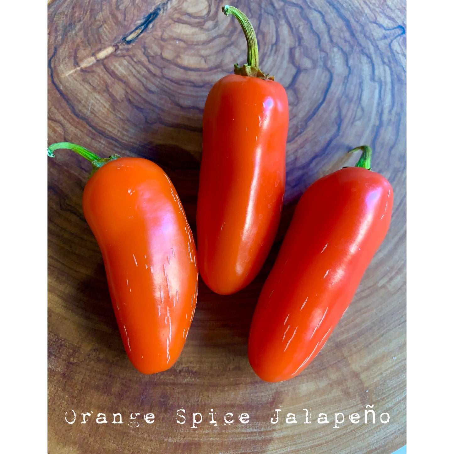 Jalapƒìno - Orange Spice - Hot Pepper Seeds
