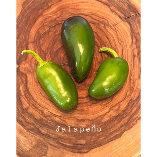 Jalapƒìno - Hot Pepper Seeds