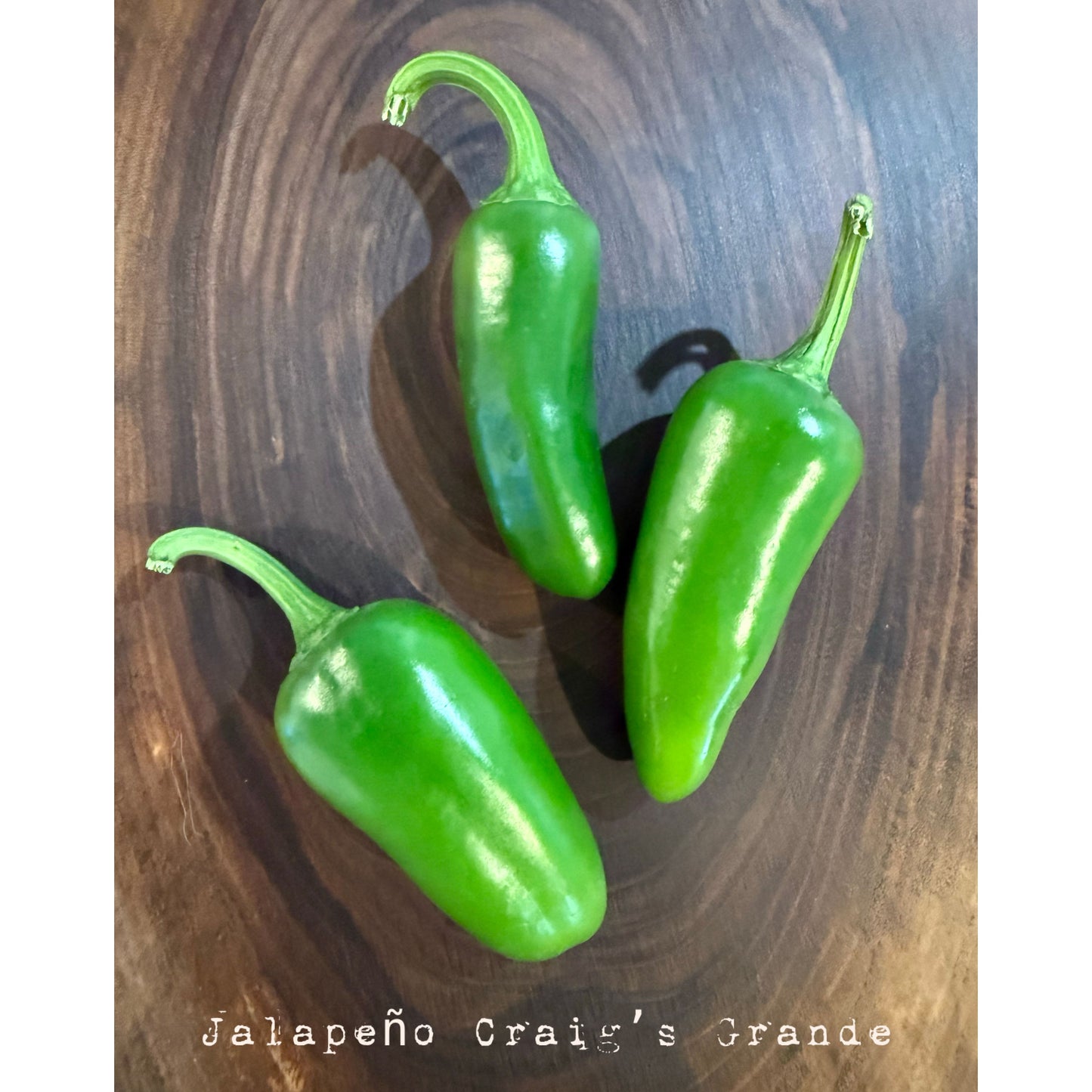 Jalapeño - Graines de piment fort Craig's Grande