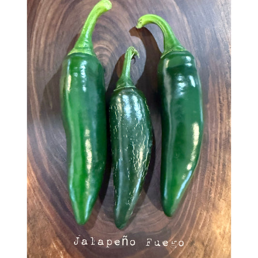 Jalapeño - Fuego Hot Pepper Seeds
