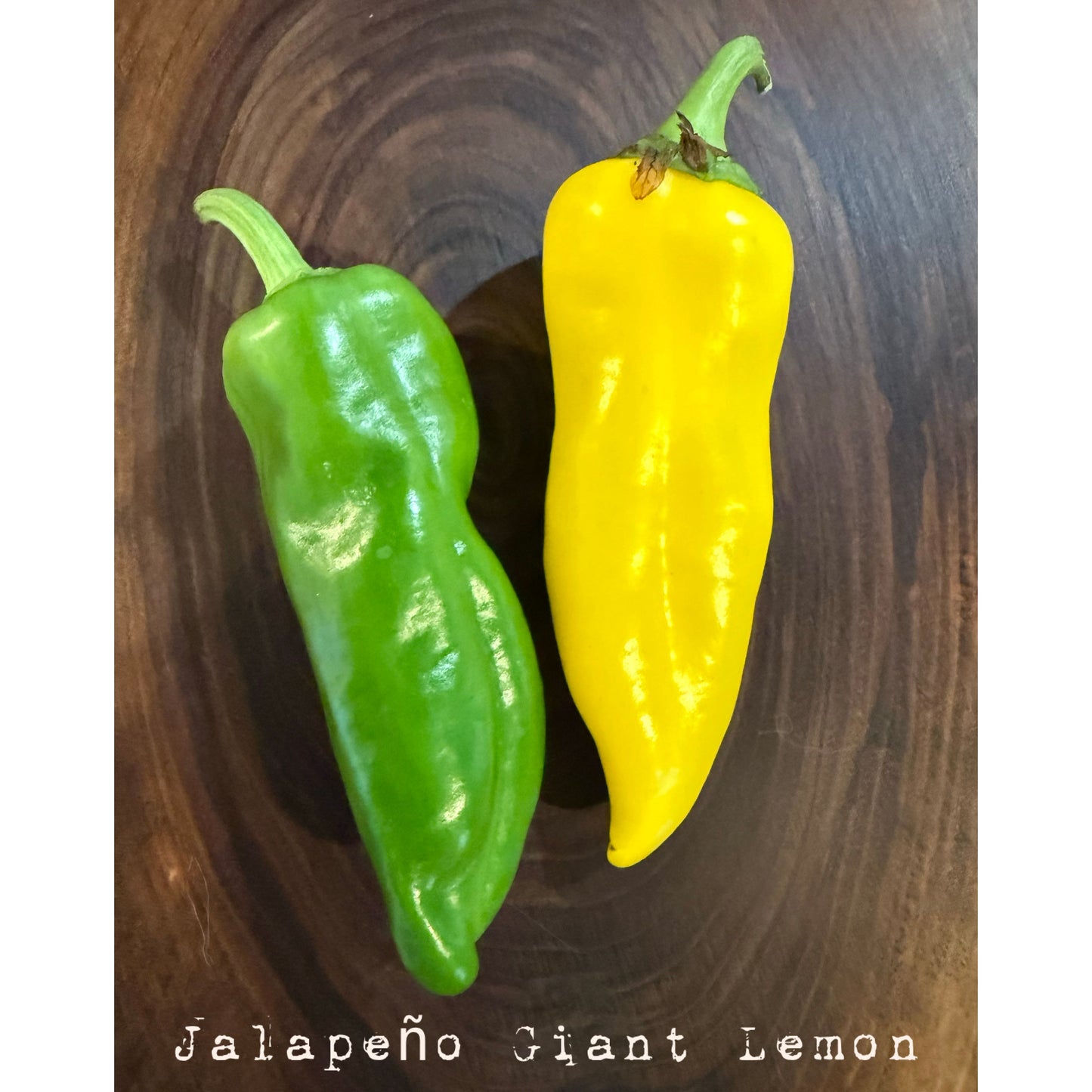 Jalapeño - Graines de piment citron géant