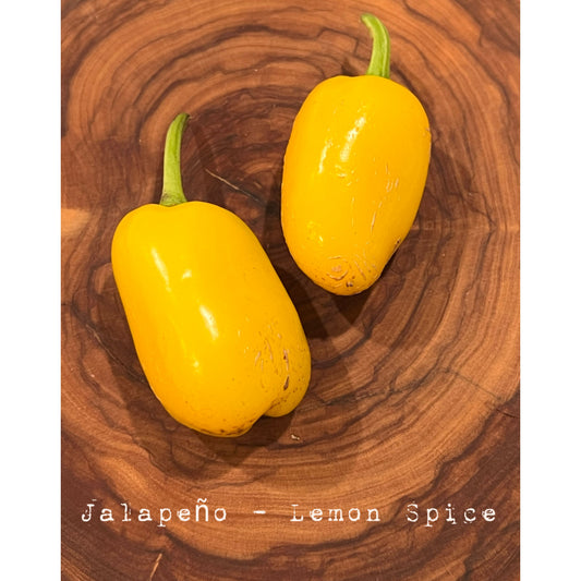 Jalapƒìno - Lemon Spice - Hot Pepper Seeds