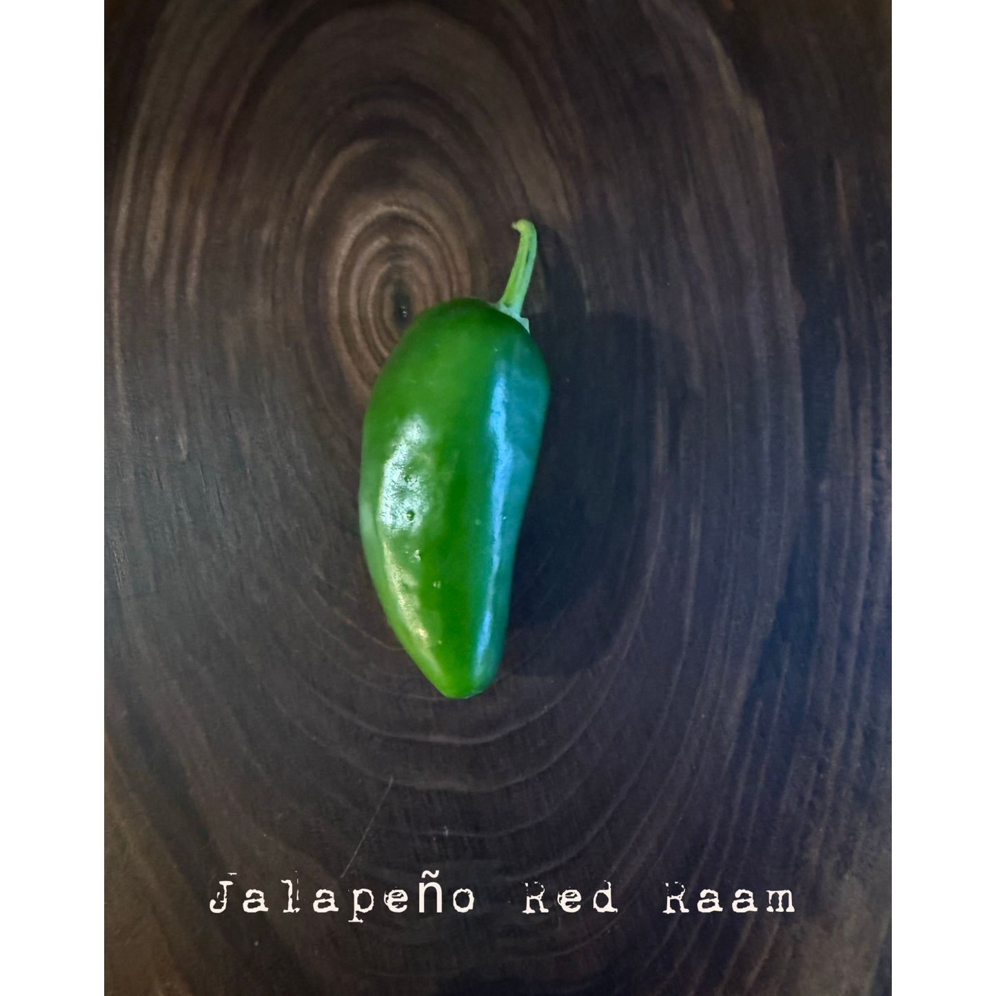 Graines de piment Jalapeño - Red Raam