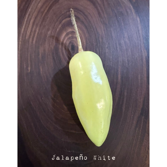 Jalapeño - Graines de piment blanc fort