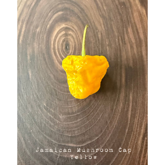 Jamaican Mushroom Cap - Yellow Hot Pepper Seeds