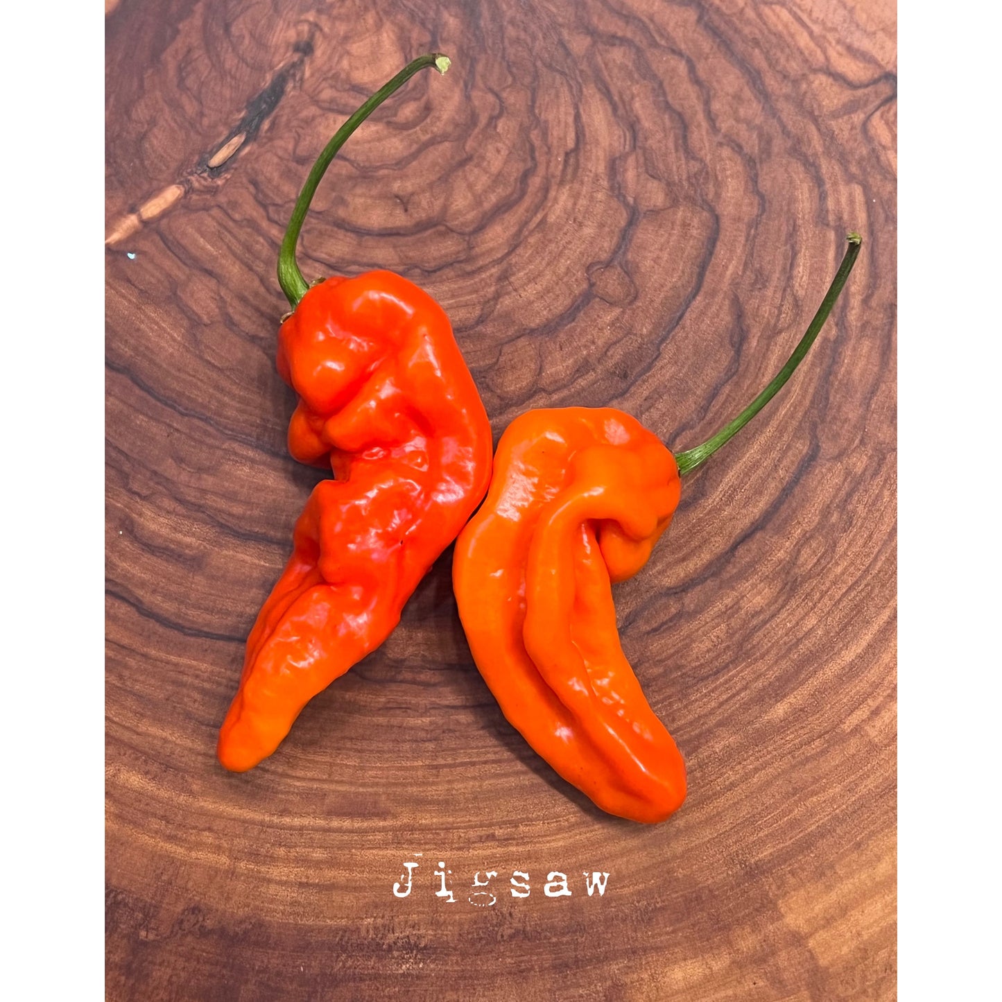 Puzzle - Rouge - Graines de piment fort