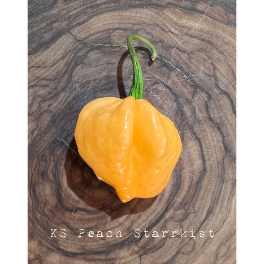 KS Peach Starrkist - Hot Pepper Seeds