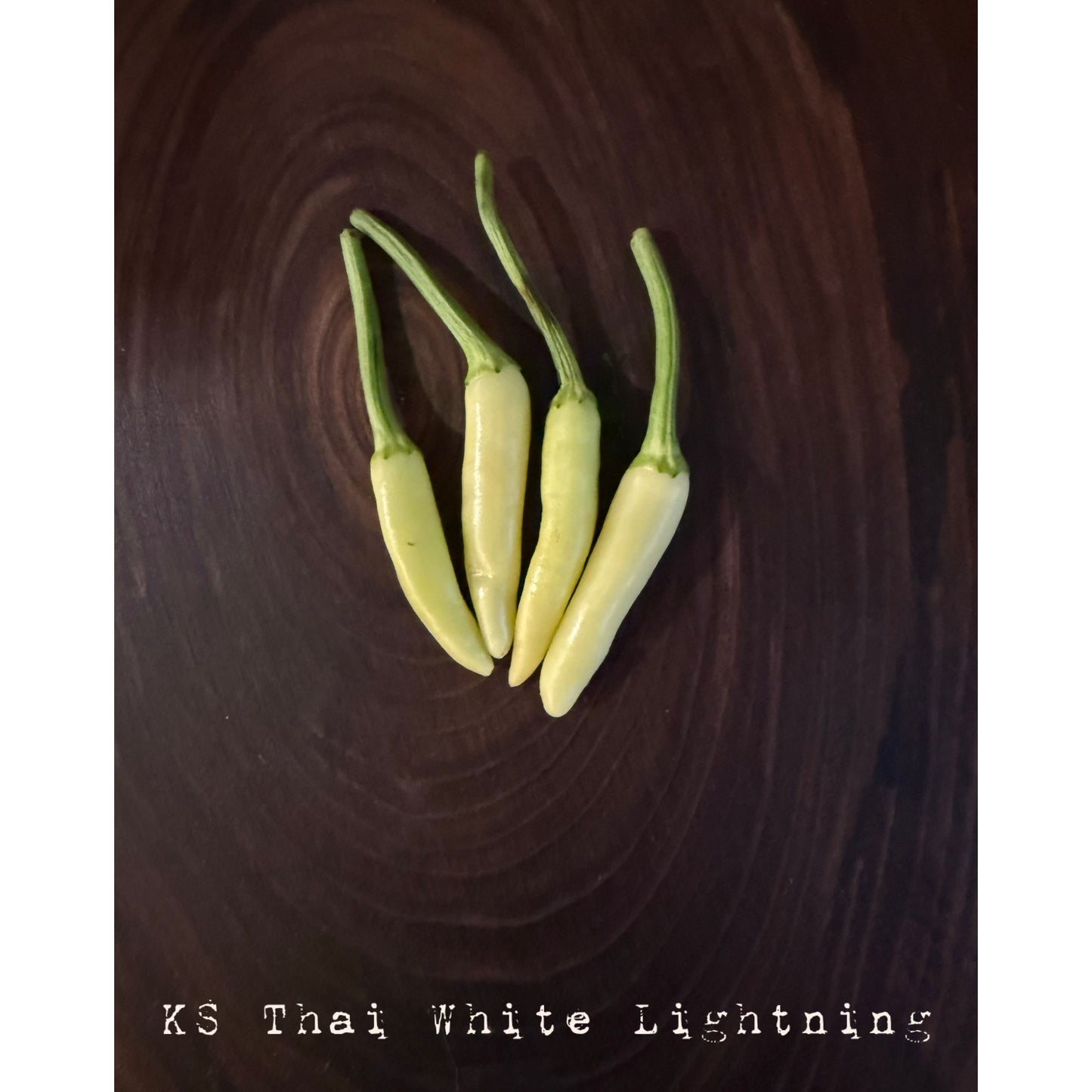 KS Thai White - Graines de piment fort isolées