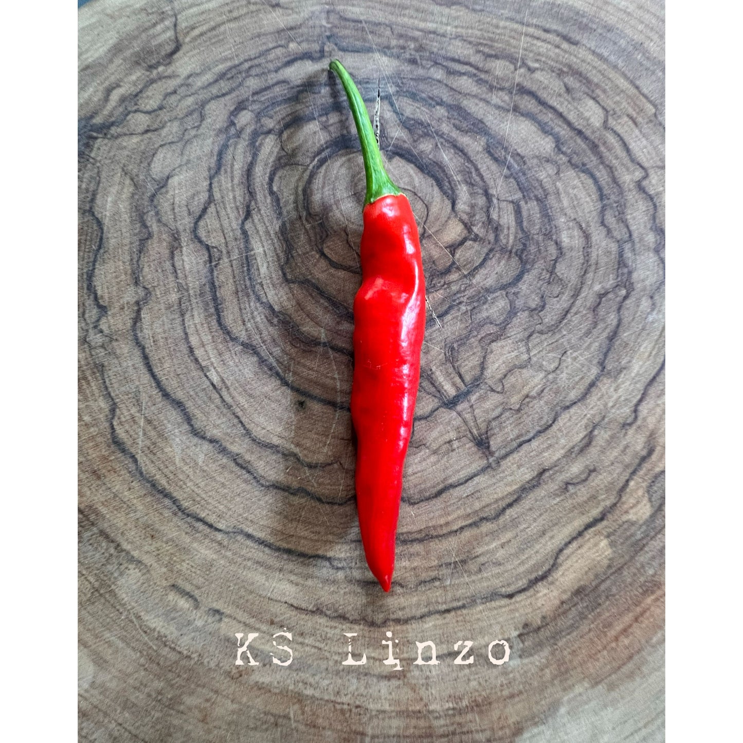 Graines de piment fort KS Linzo
