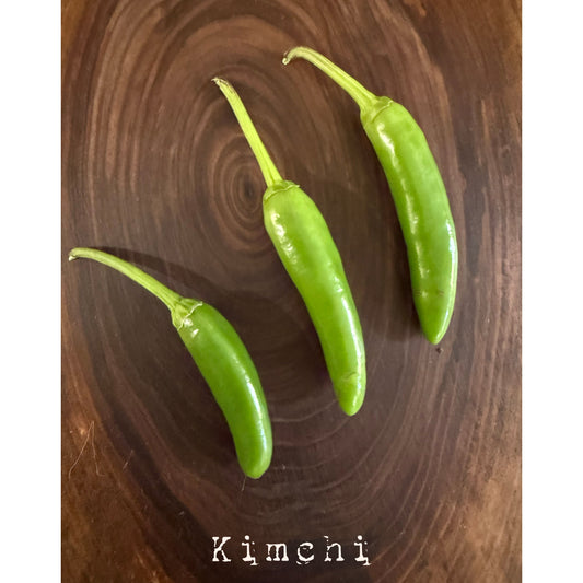 Kimchi  Hot Pepper Seeds