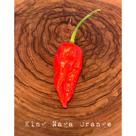 King Naga - Orange - Hot Pepper Seeds
