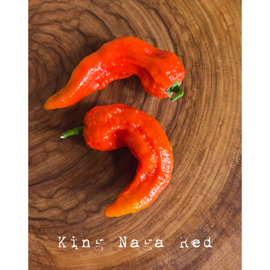 King Naga - Red - Hot Pepper Seeds