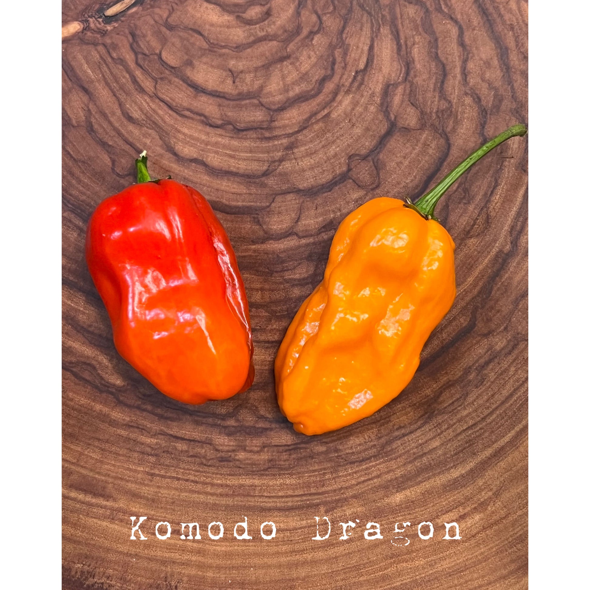 Komodo Dragon - Hot Pepper Seeds