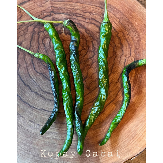 Kopay Cabai - Hot Pepper Seeds