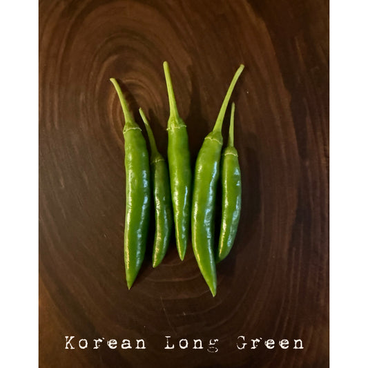 Korean Long Green Hot Pepper Seeds