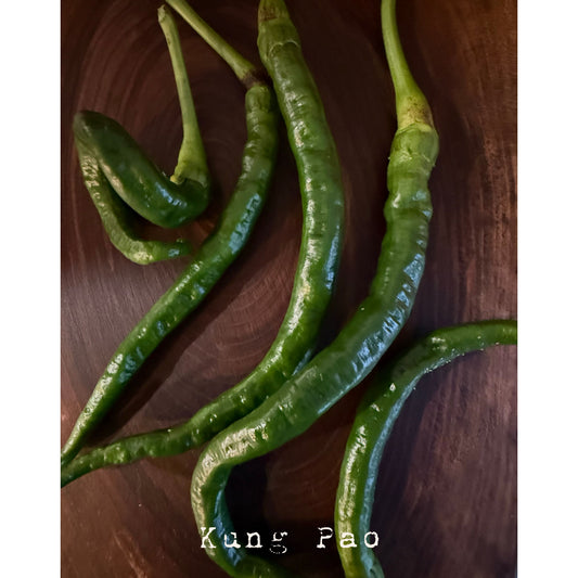 Kung Pao Hot Pepper Seeds