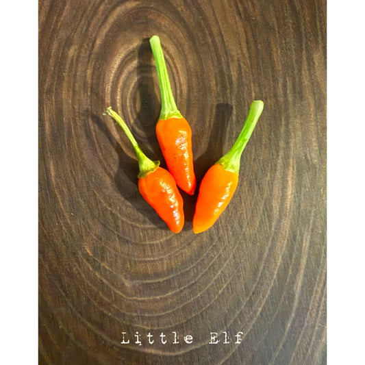 Little Elf Hot Pepper Seeds