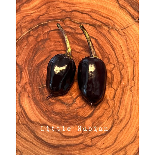 Little Nubian (Jamaican Sore Throat Pepper) - Hot Pepper Seeds