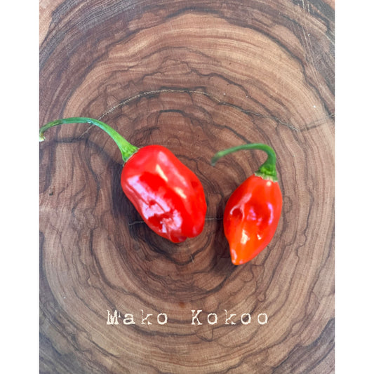 Mako Kokoo  - Hot Pepper Seeds