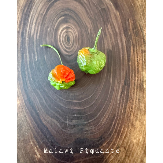 Malawi Piquante  - Hot Pepper Seeds