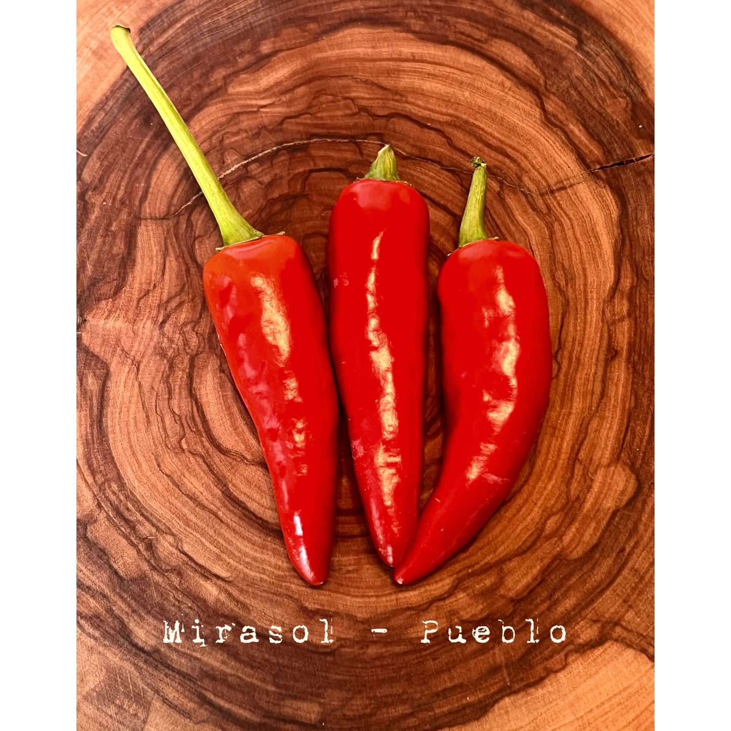 Mirasol  - Hot Pepper Seeds