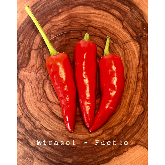 Mirasol  - Hot Pepper Seeds