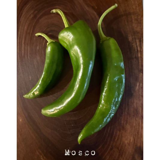 Mosco Hot Pepper Seeds