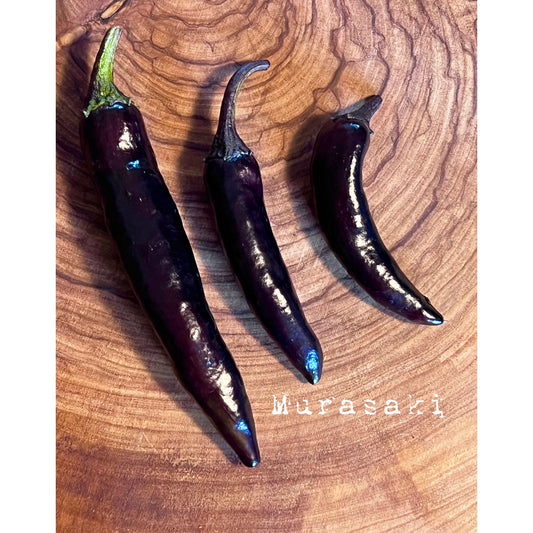 Murasaki (Ancient Pepper) - Hot Pepper Seeds