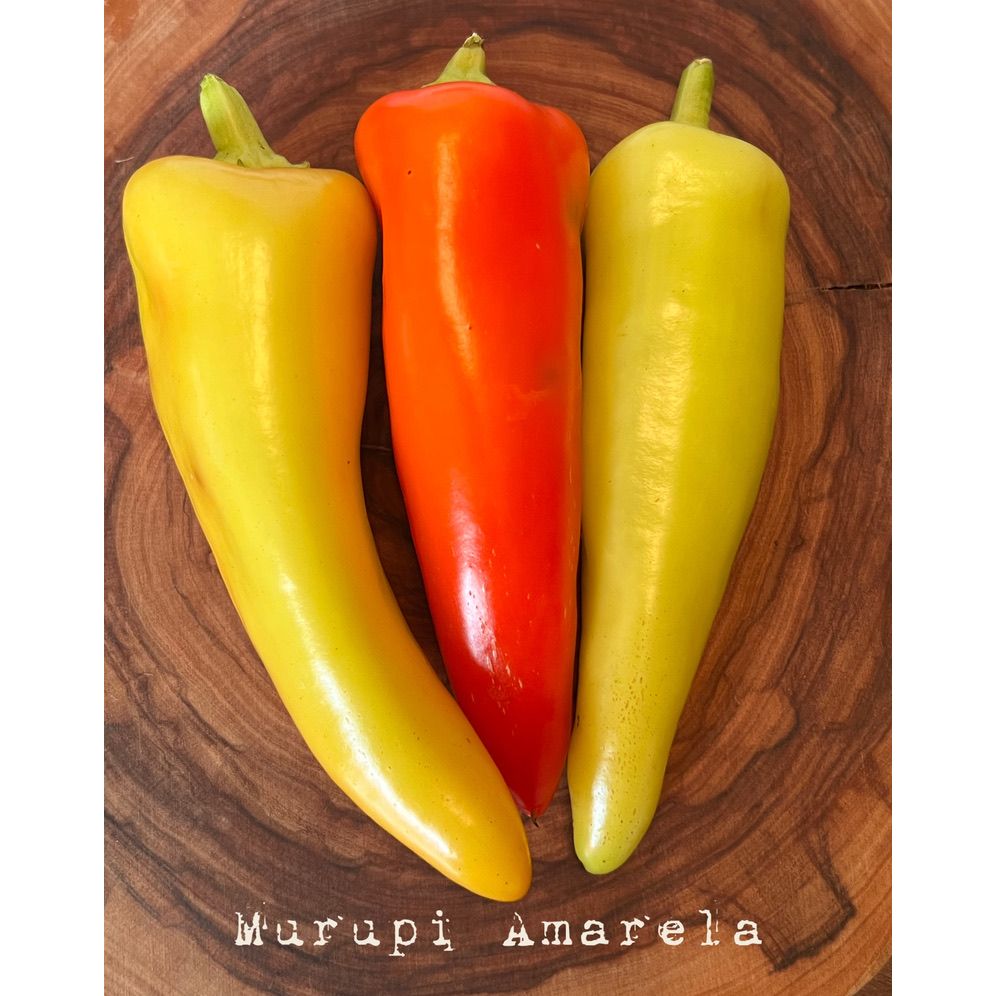 Murupi Amarela (rare) - Hot Pepper Seeds