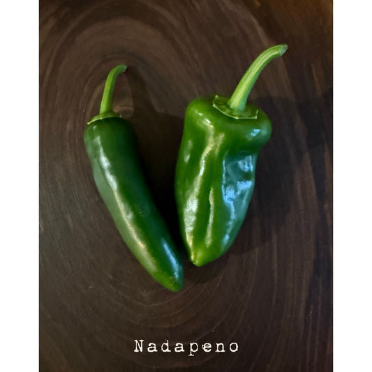 Graines de piment nadapeno