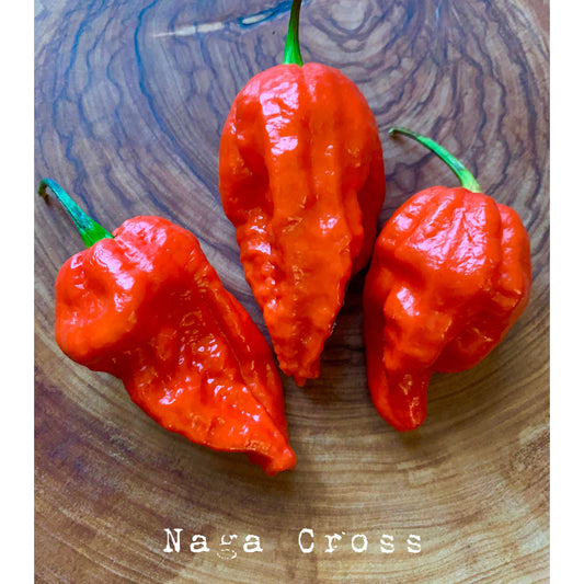 Naga X - Hot Pepper Seeds