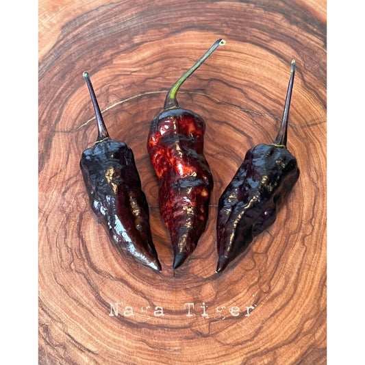 Naga Tiger - Hot Pepper Seeds