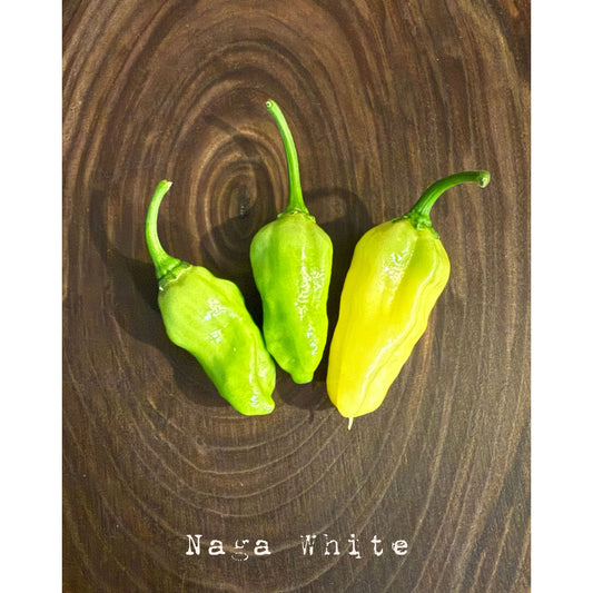 Naga - White Hot Pepper Seeds