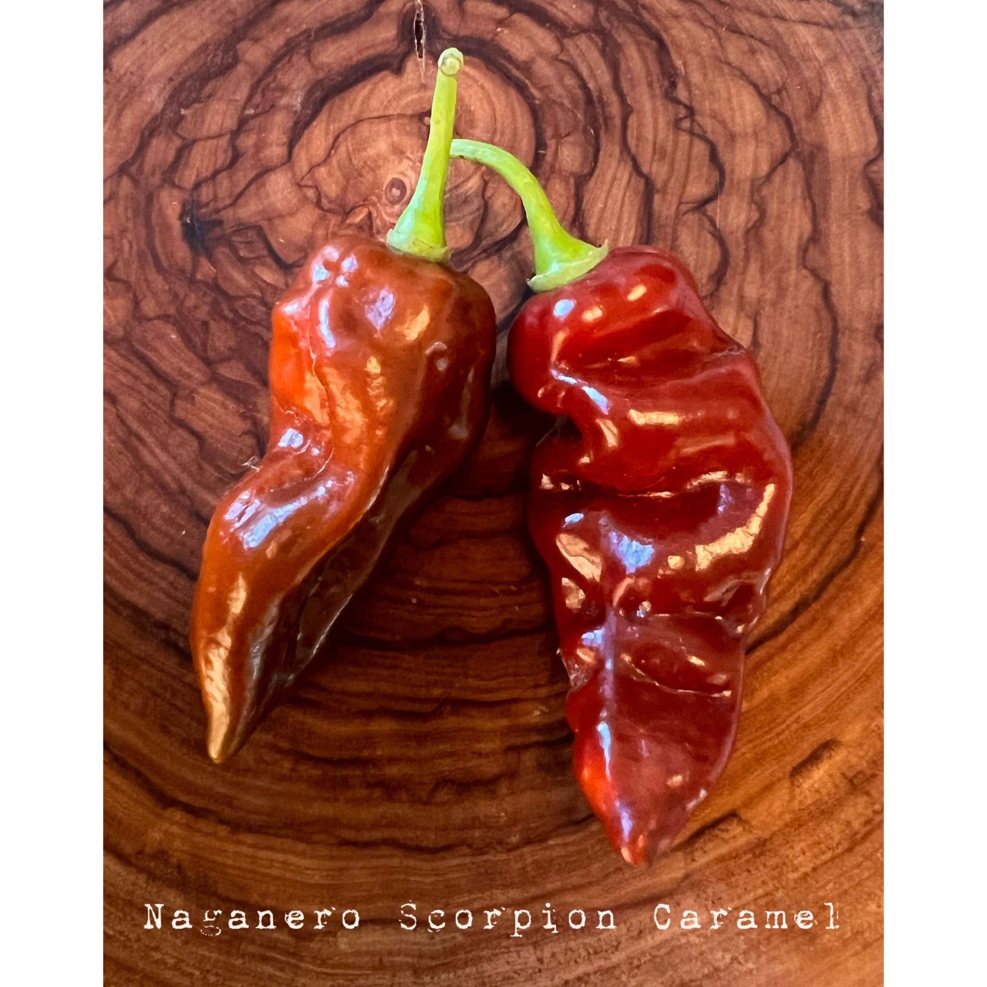Naganero Scorpion Caramel - Hot Pepper Seeds