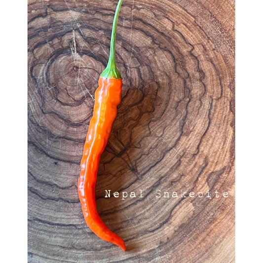 Nepal Snakebite - Hot Pepper Seeds