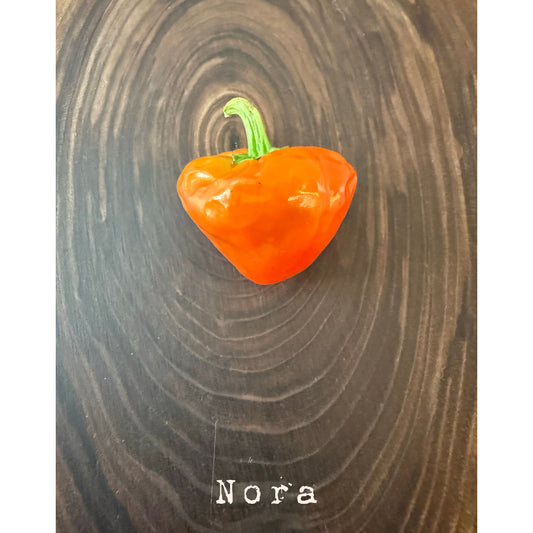 Nora Hot Pepper Seeds