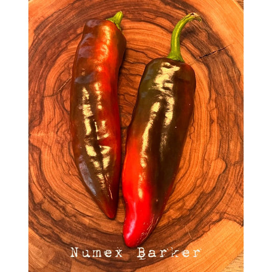 Numex Barker - Hot Pepper Seeds