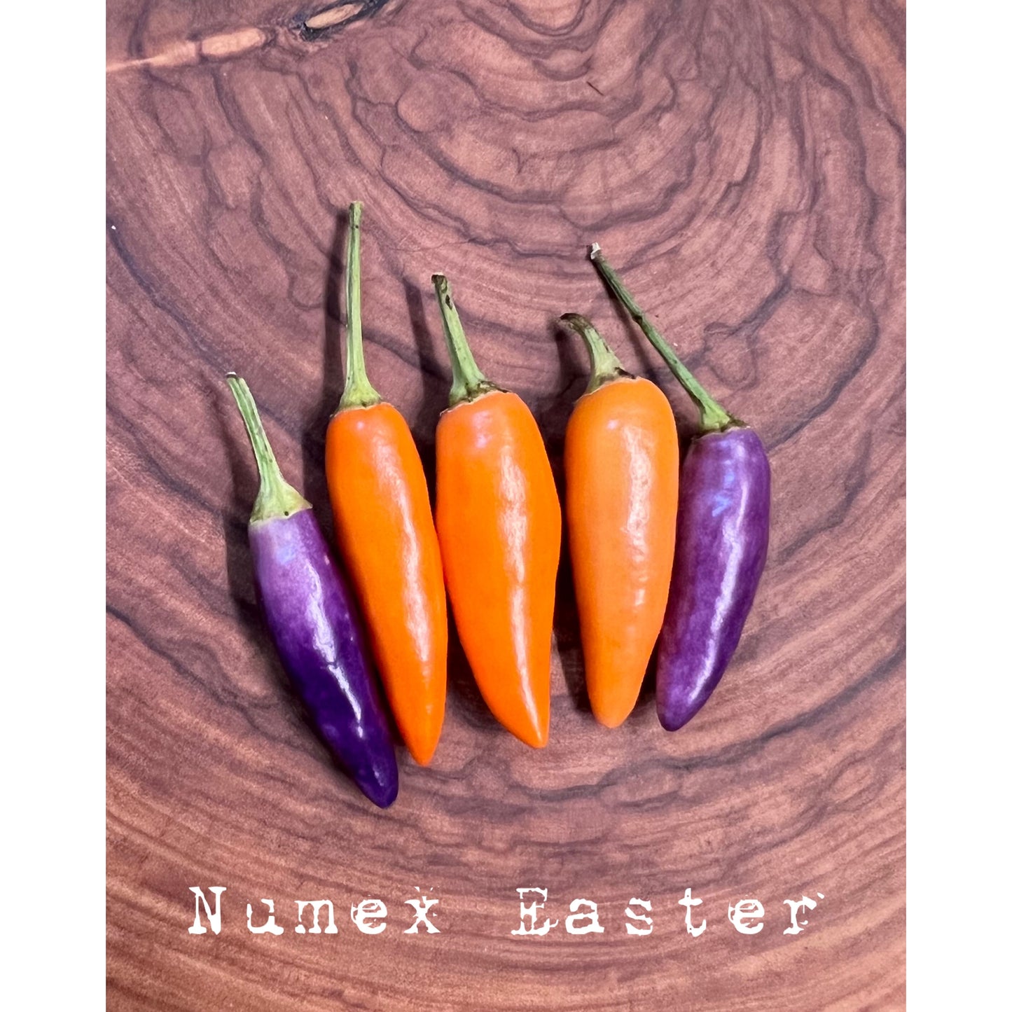 Numex Easter - Hot Pepper Seeds